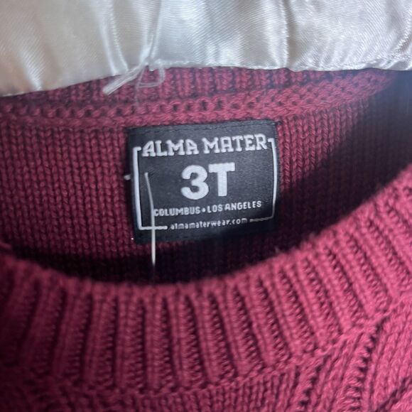 NWT Alma Mater FSU Letterman Cable Knit Sweater Dress size 3T - Picture 5 of 7